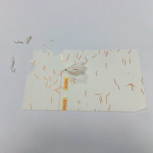 Nhãn Vinyl vỡ kết cấu sợi